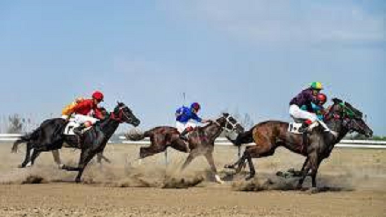 برگزاری نخستین دوره مسابقات پرش با اسب در شیروان