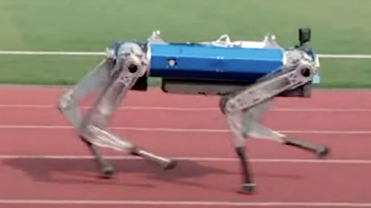 سگ رباتیک رکورد دو ۱۰۰ متر گینس را شکست! + فیلم