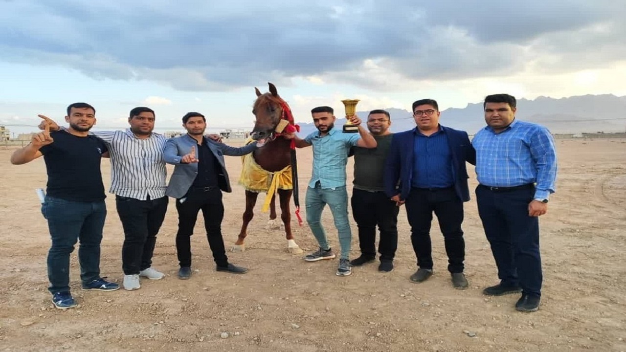 کسب مقام سوم سوارکار بوشهری در مسابقات کشوری