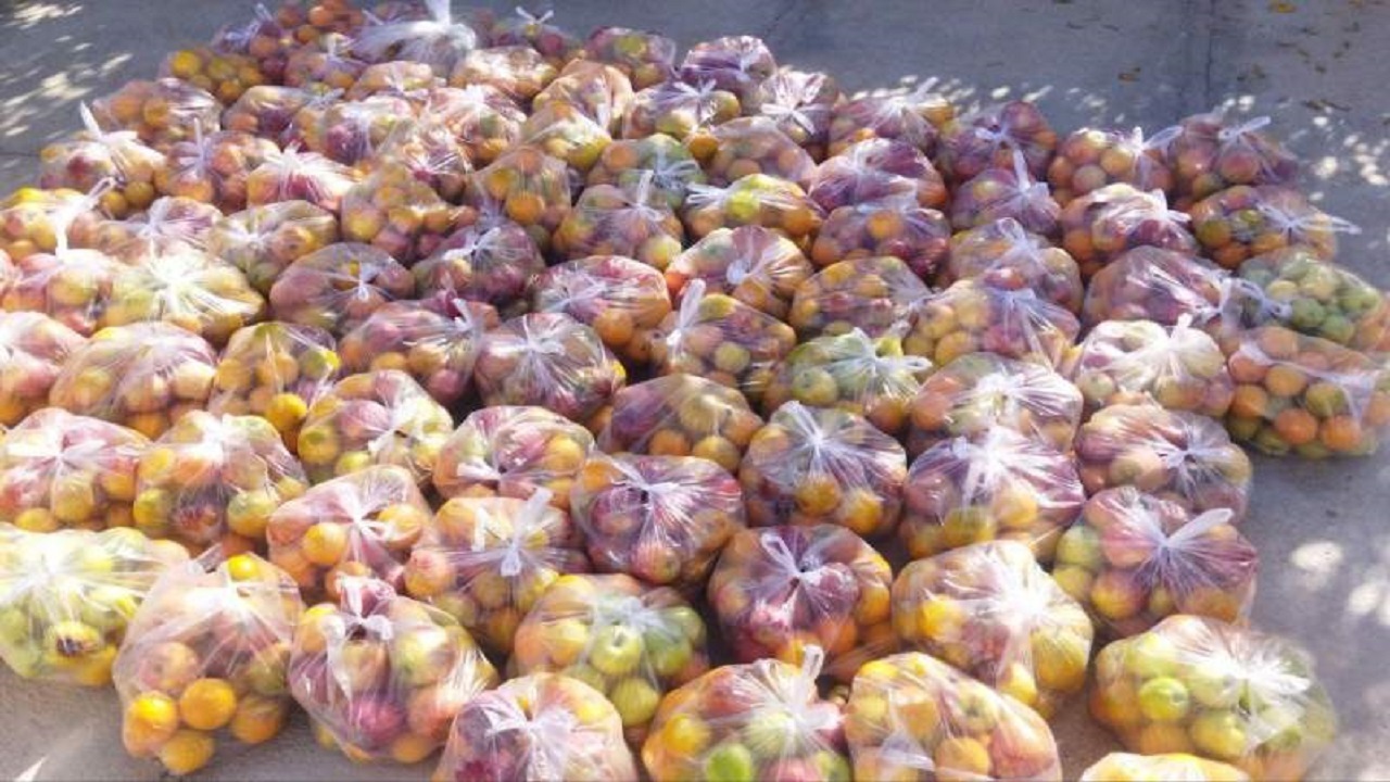 توزیع  یک هزار و ۵۰۰ بسته معیشتی به مناسبت شب یلدا در مهرستان