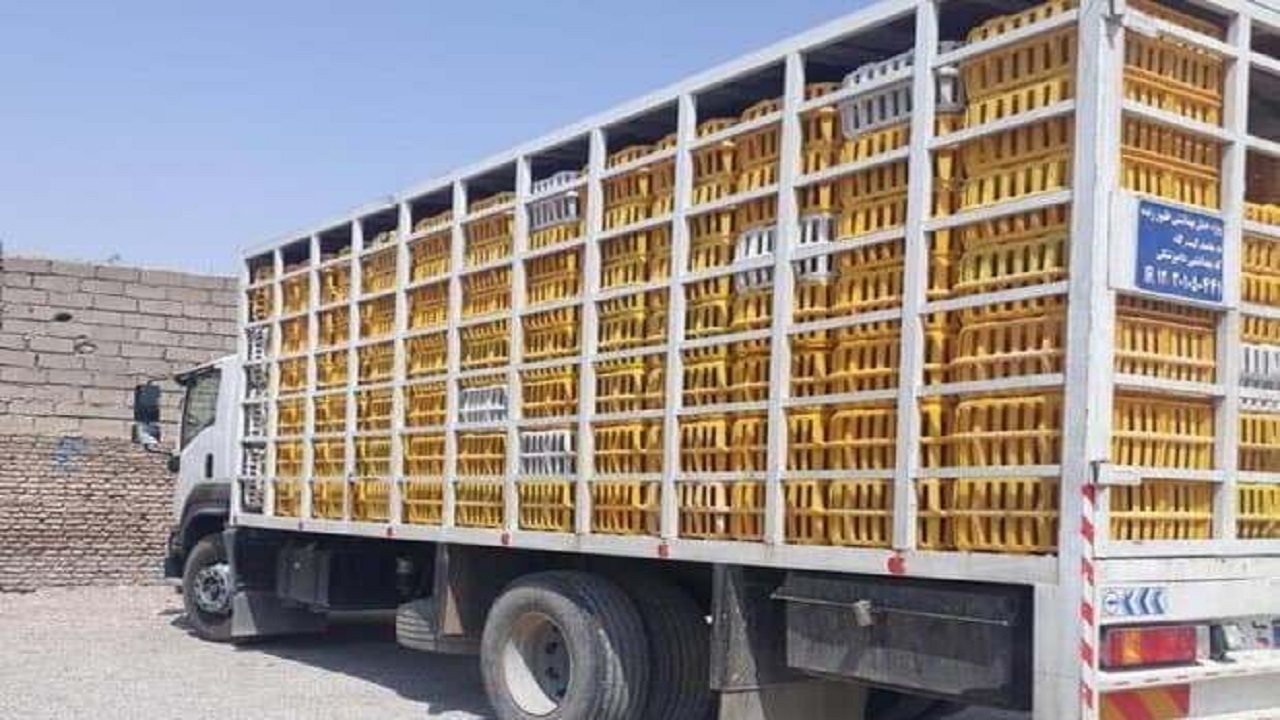 توقیف هزار و ۳۰۰ کیلوگرم مرغ بدون مجوز در شهرستان سرایان