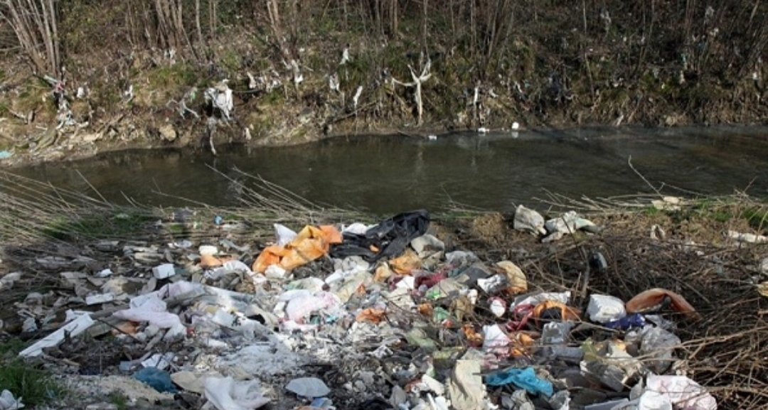 آلوده سازی رودخانه روستای همای علیا با ریختن فضولات حیوانی