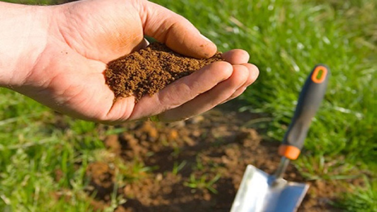 خدمات رایگان آزمایشگاه خاک برای کشاورزان طرح‌های ترویجی در ۴ شهر گلستان