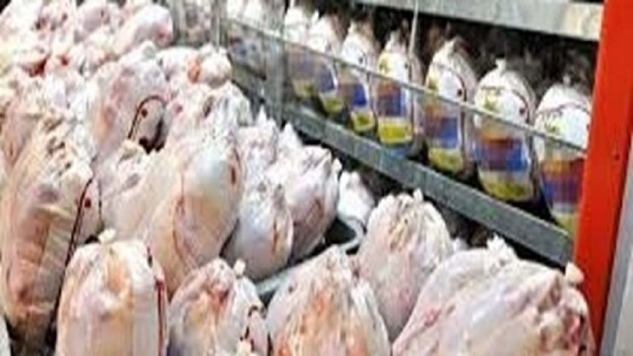 مطلوب بودن ذخایر استراتژیکی گوشت مرغ منجمد در کرمانشاه