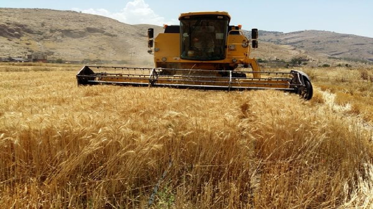تحقق ۹۱ درصدی طرح جهش تولید در دیمزار‌های قزوین