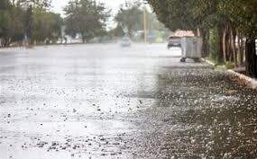 خسارت بارش تگرگ در بخش اسماعیلی جیرفت