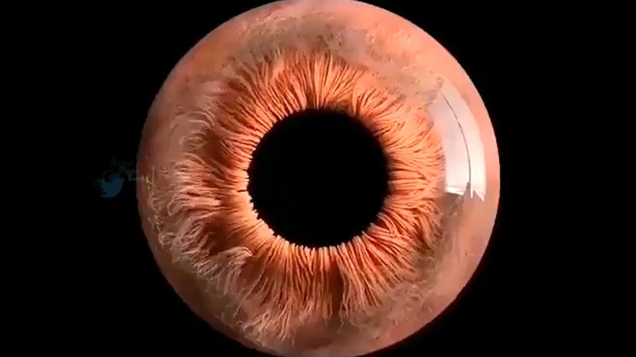 چشم انسان زیر میکروسکوپ خارق‌العاده است + فیلم