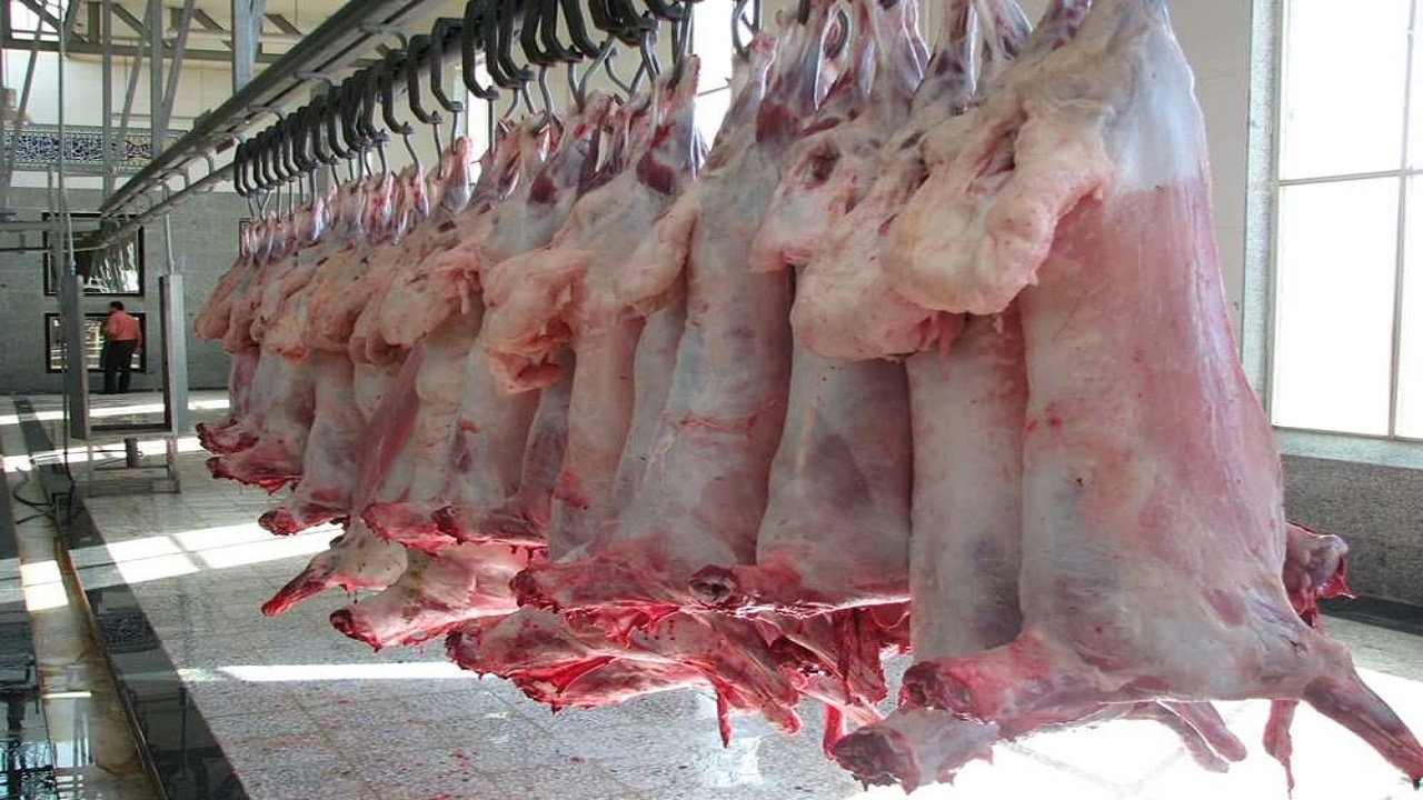 رشد ۳.۲ درصدی تولید گوشت قرمز در استان قزوین