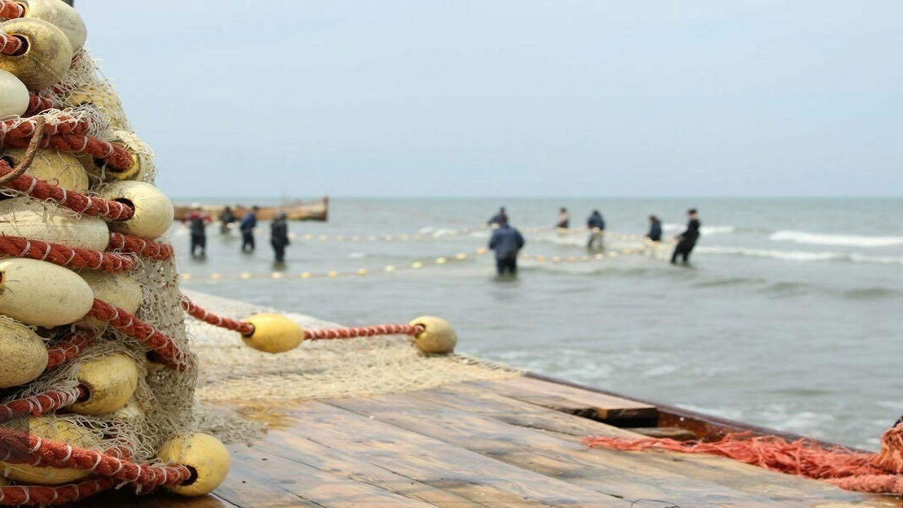 ممنوعیت صید ماهیان استخوانی در دریای خزر