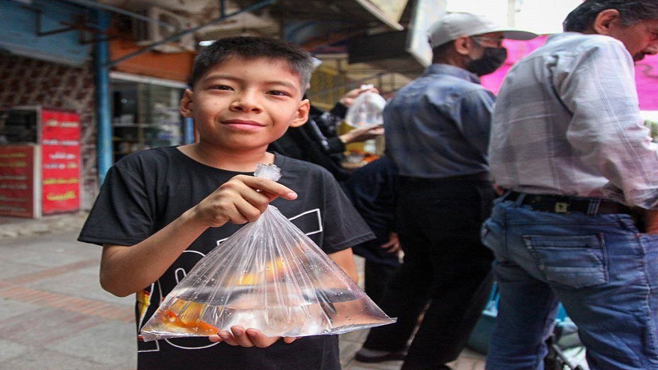 نگاهی به بازار سبزه و ماهی عید نوروز ۱۴۰۳ در لارستان + تصاویر