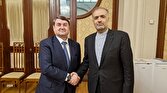 - دیدار سفیر ایران با دستیار رئیس‌جمهور روسیه