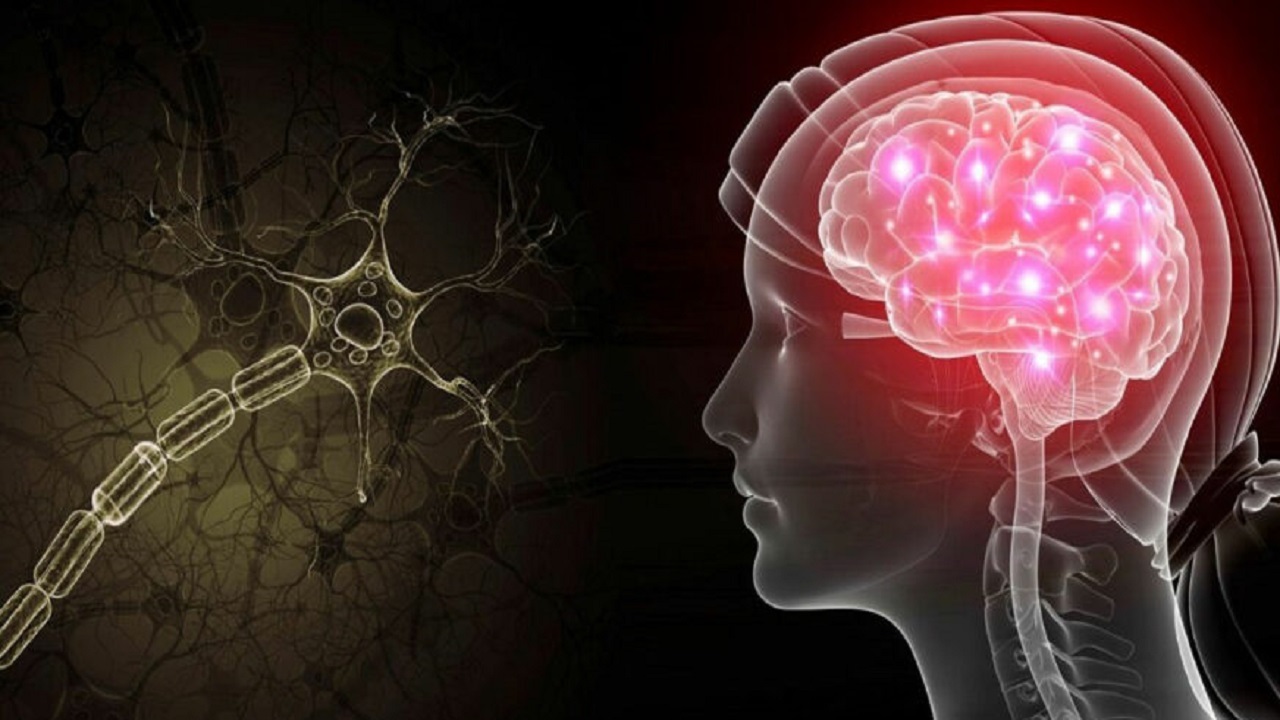 ارتباط میزان اسیدی بودن مغز با اختلالات عصبی و مشکلات روان‌شناختی