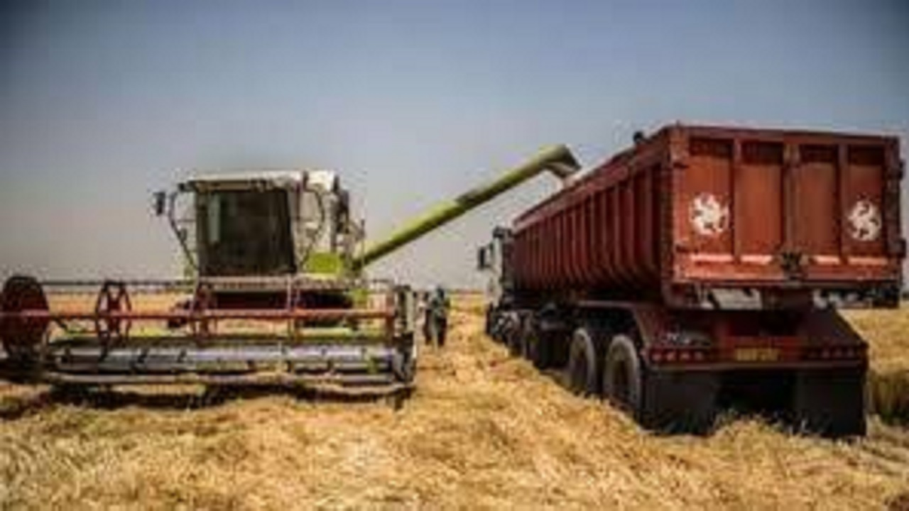 تدارک ۱۳ هزار دستگاه کامیون در استان گلستان برای حمل محصولات کشاورزی