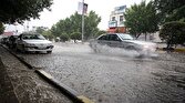 باشگاه خبرنگاران -بارش شدید باران در راه استان بوشهر/صدور هشدار قرمز هواشناسی