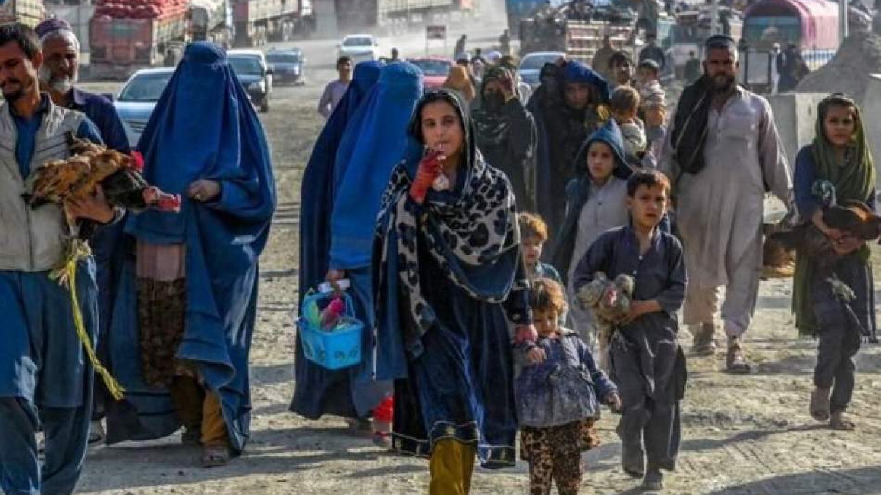 اخراج بیش از ۱۰۰ پناهجوی افغانستانی‌