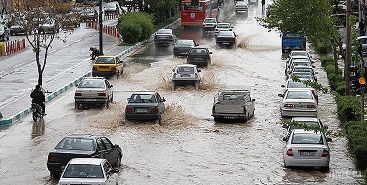 بارندگی شدید به تأسیسات جنوب استان بوشهر خسارت زد