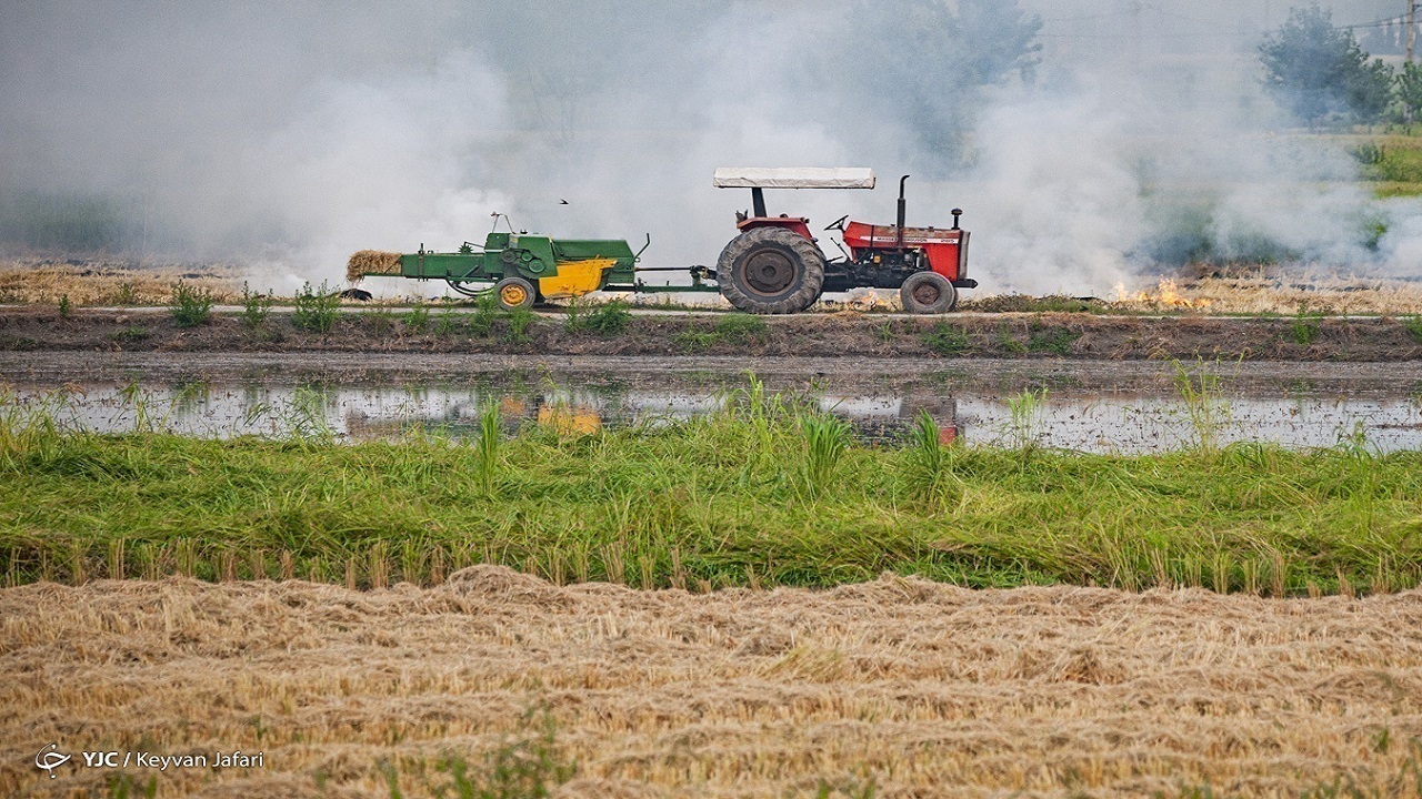 کشاورزان راهکارهای مقابله با خشکسالی را در دستور کار قرار دهند