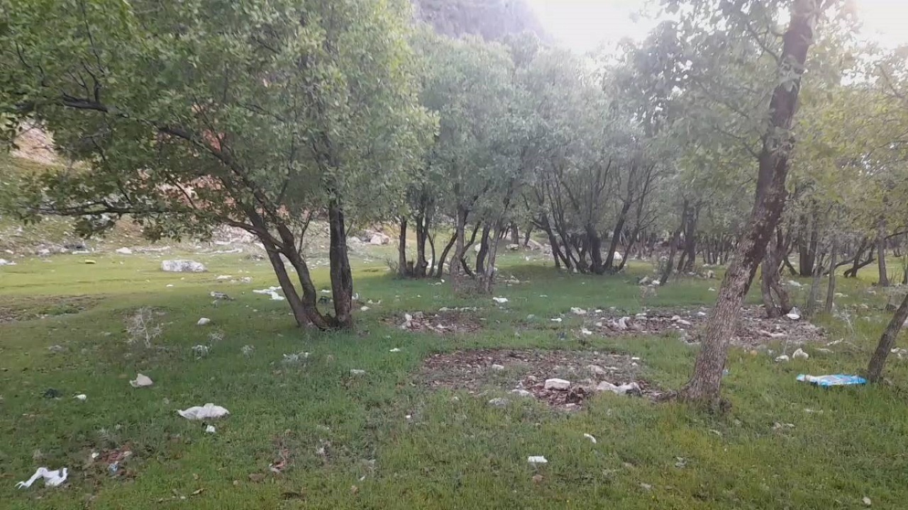 حکایت همنشینی زباله‌ها پای درختان منطقه جنگلی کومان سپیددشت + فیلم