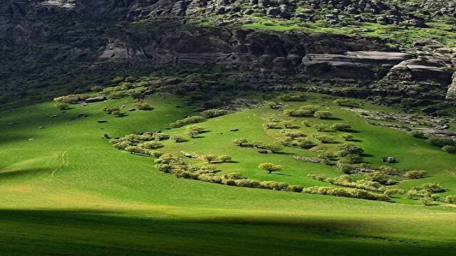 باشگاه خبرنگاران -بهشتی با گل سنگ‌های سبز و مخملی در لرستان+فیلم