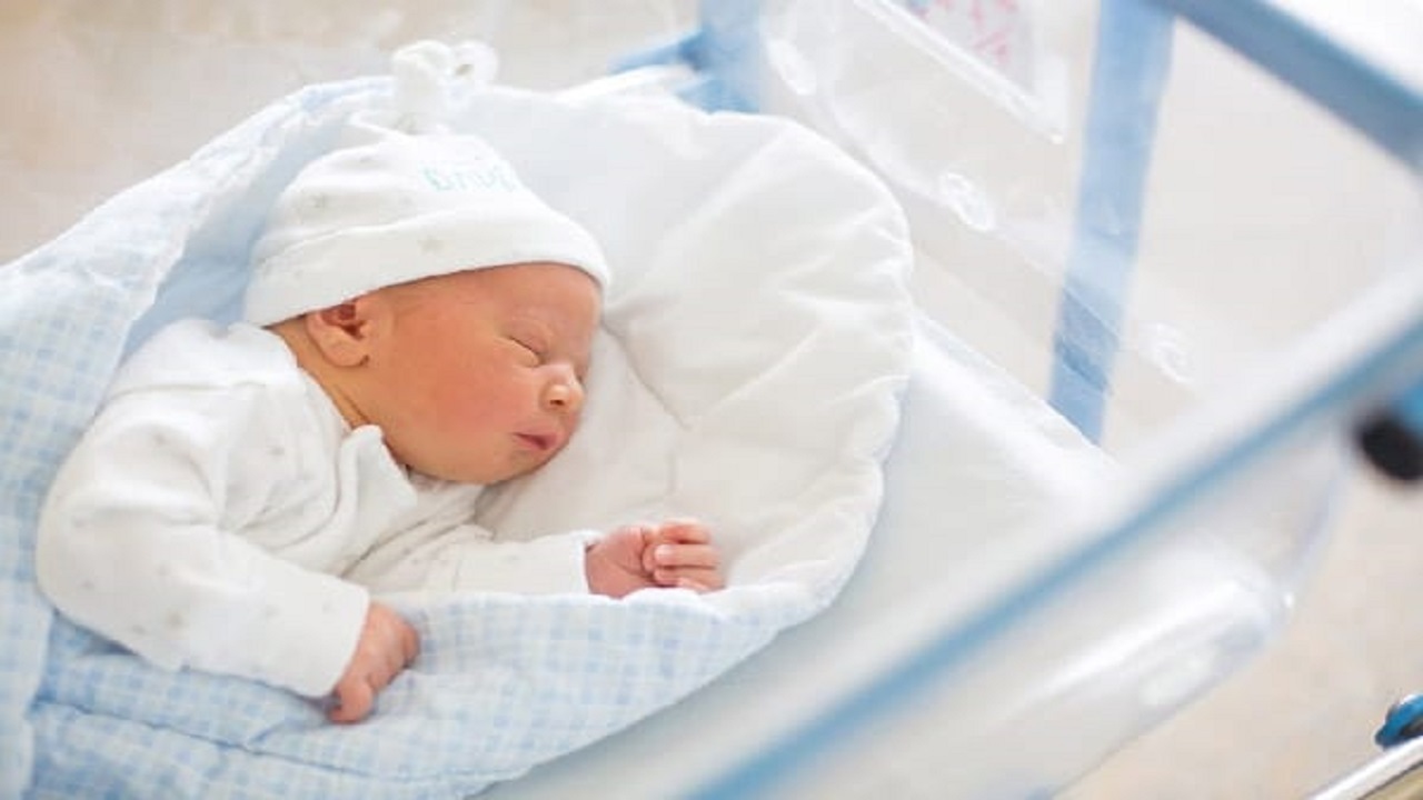 شمار ولادت‌ها در خراسان شمالی بالاتر از میانگین کشوری است