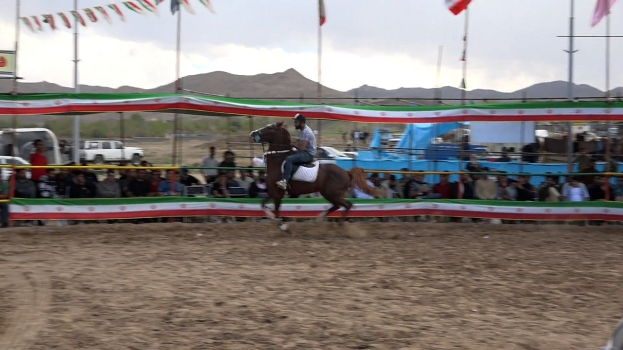 نمایش اسب‌های اصیل نژاد ایرانی در همایشی در نطنز