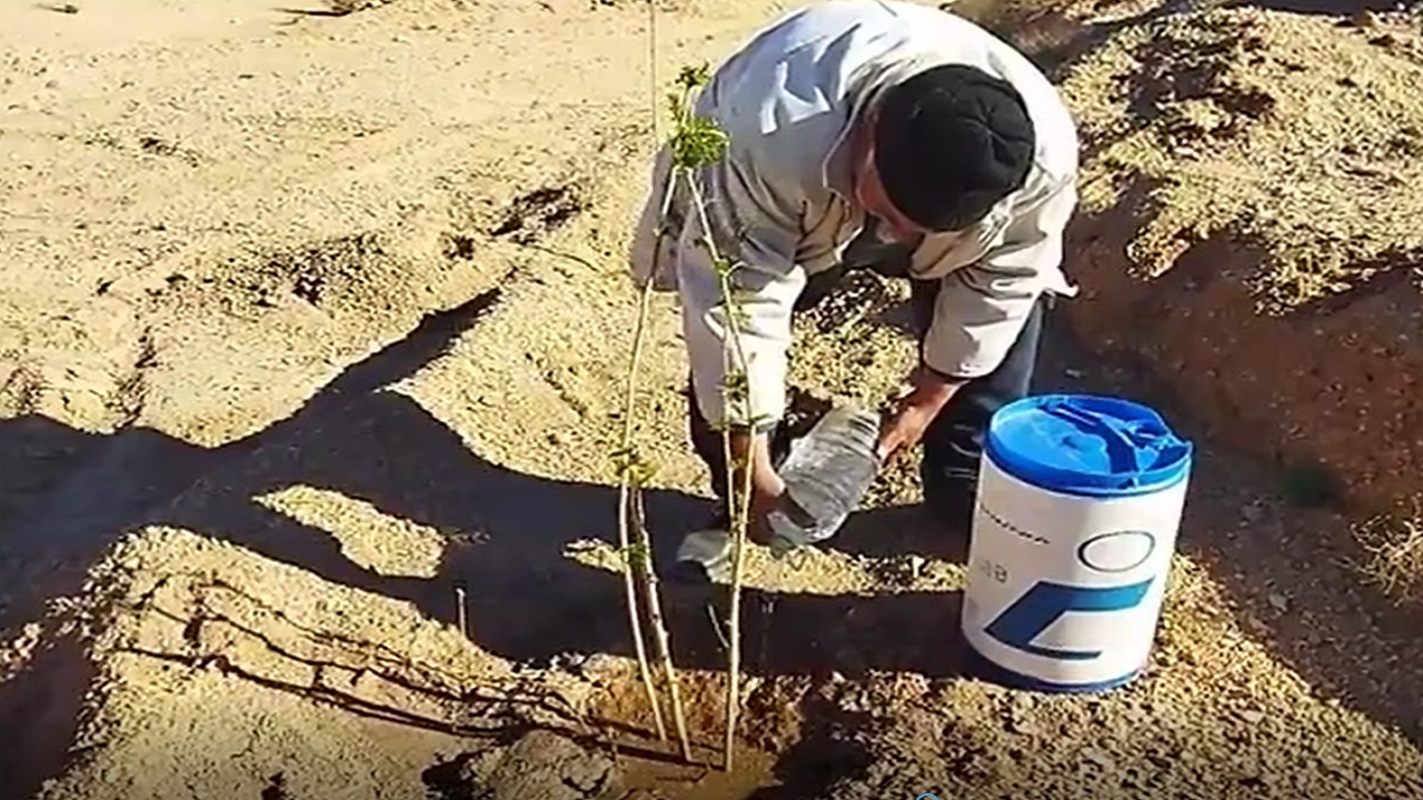 کاشت درخت در دل بیابان‌های روستای همت آباد توسط همیار طبیعت + فیلم