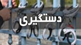 باشگاه خبرنگاران -دستگیری سارقان سیم و کابل‌های برق در مراغه