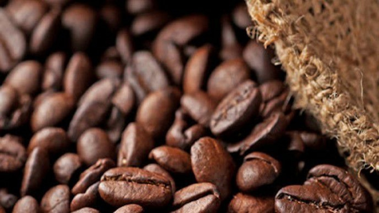 کشف قهوه خارجی قاچاق در رشت