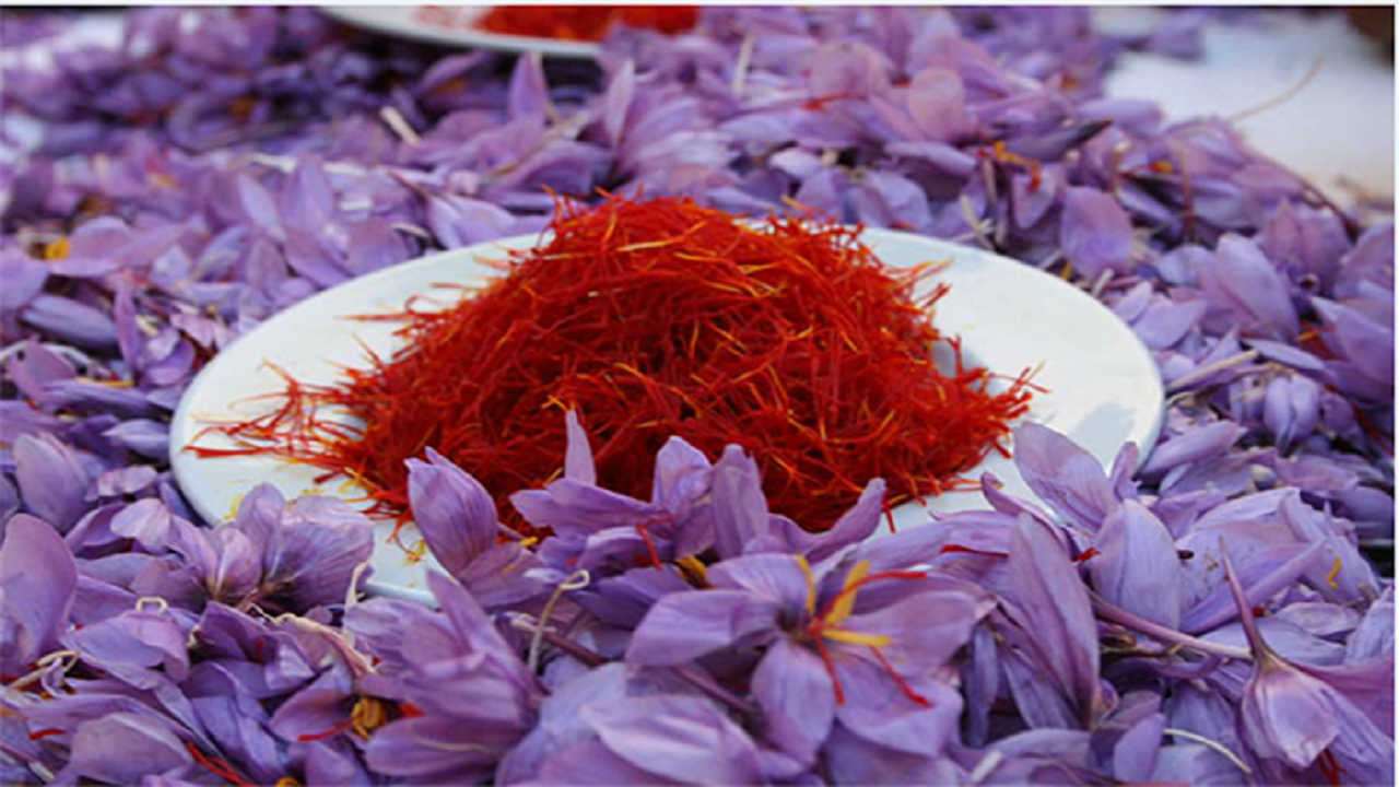 ماهانه ۱۰ تن زعفران بی کیفیت قاچاق می‌شود