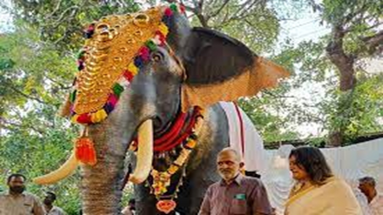 حمله یک فیل در جشنواره کرالا در هند + فیلم