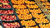 باشگاه خبرنگاران -توزیع ۳۳۲ تن سیب و پرتقال در کردستان