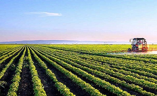 سرمایه گذاری  هزار و ۸۴ میلیارد ریالی طرح کشاورزی در استان همدان