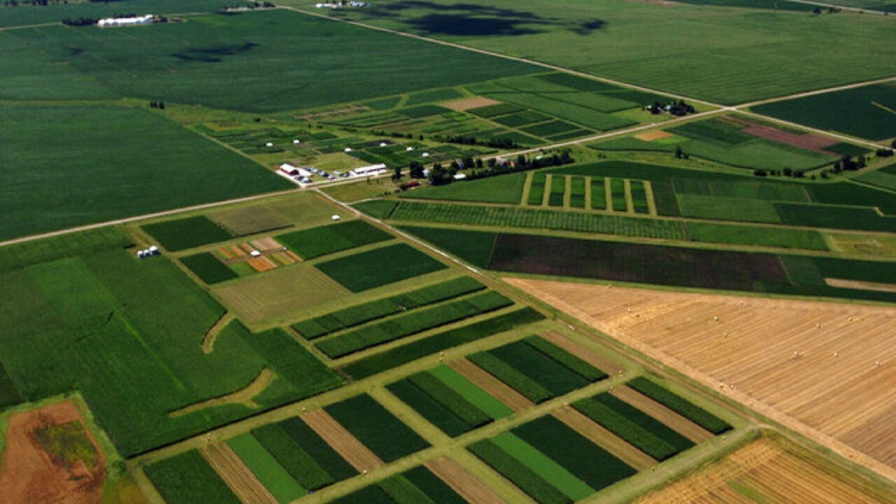 کاهش پرونده‌های حوزه زمین با سنددار شدن اراضی کشاورزی