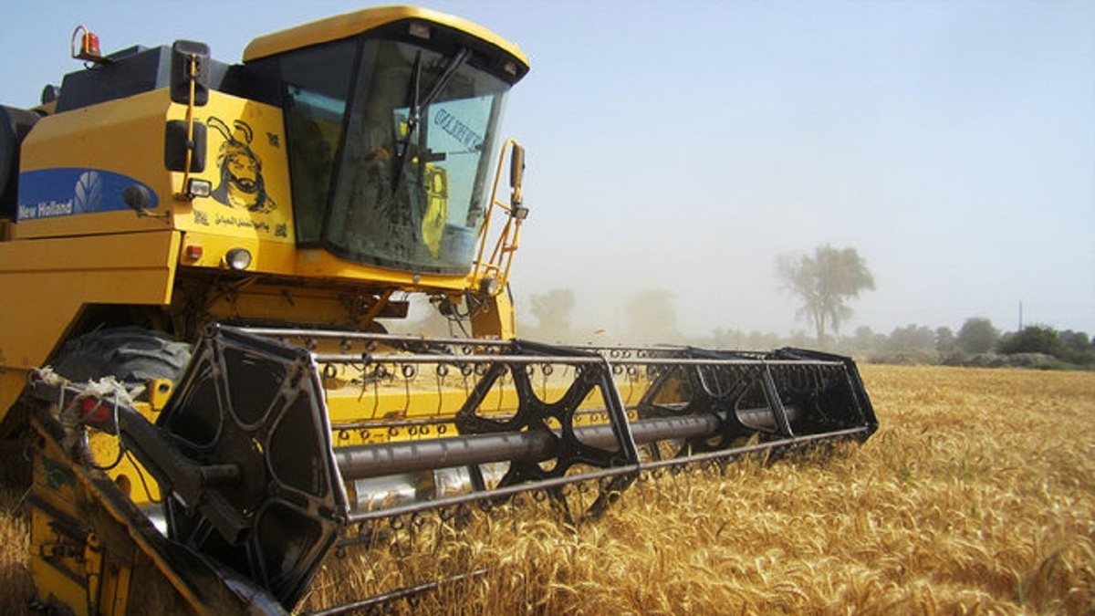 باشگاه خبرنگاران -آمادگی کامل کرمانشاه برای خرید تضمینی گندم در سال آینده