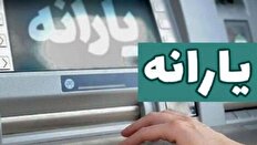 یارانه ۱۰۰ هزار نفر این ماه قطع می‌شود + فیلم