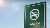 باشگاه خبرنگاران -کاهش ۵۰ درصدی تلفات جانی در پویش نه به تصادف
