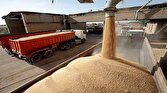 باشگاه خبرنگاران -ظرفیت سازی برای خرید بیش از یک میلیون تُن گندم در آذربایجان غربی