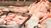 باشگاه خبرنگاران -افزایش ۲۳ درصدی تولید گوشت مرغ در چهارمحال و بختیاری