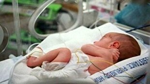 نجات جان ۱۴ کودک در معرض سقط عمدی