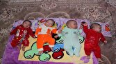 باشگاه خبرنگاران -۶۷۷ خانواده دارای فرزند چند قلو تحت پوشش بهزیستی زنجان هستند