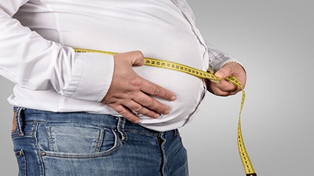 خوردن،وزن،اضافه،چاقي،غذا،شهرابي،شرم،هيجان،تنظيم