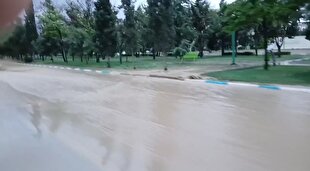 آبگرفتگی در معابر فولادشهر پس از بارش باران + فیلم