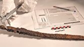 کشف شمشیر کمیاب هزار ساله در اسپانیا