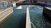 باشگاه خبرنگاران -افزایش دبی آب در شبکه آبیاری دشت قزوین
