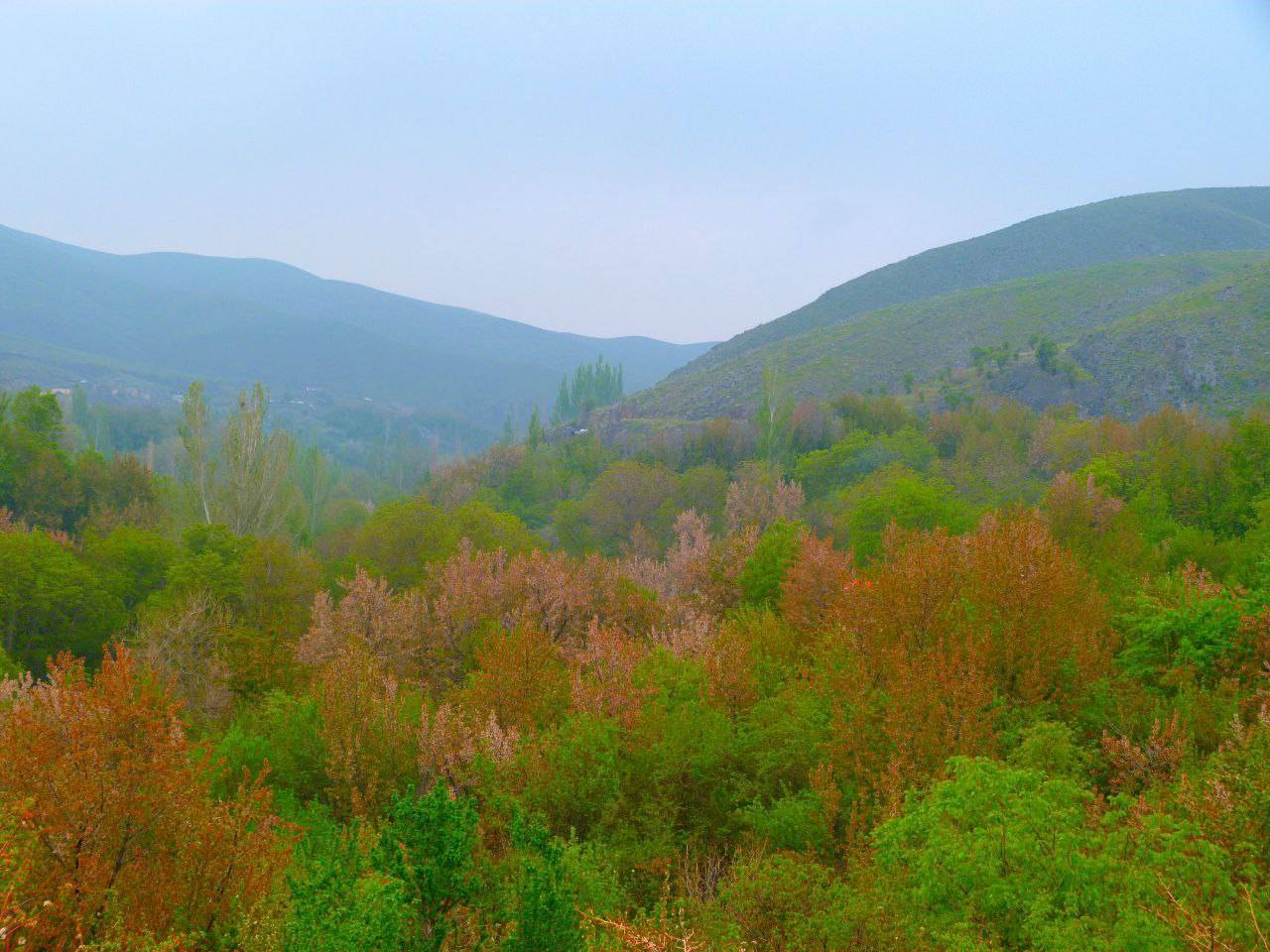 منظره بهاری