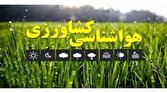 باشگاه خبرنگاران -هشدار هواشناسی به کشاورزان ۲۵ استان کشور