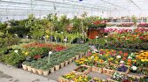 باشگاه خبرنگاران -نمایشگاه مهارتی پرورش گل و گیاه در سمنان