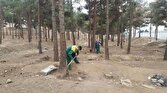 باشگاه خبرنگاران -قطع درختان و ساخت و ساز در سرخه حصار صحت ندارد