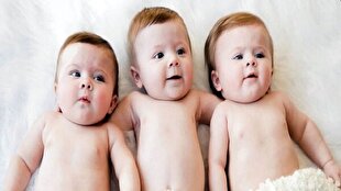 باشگاه خبرنگاران -۲۷ درصد ولادت‌های فروردین امسال فرزند سوم هستند
