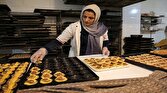 باشگاه خبرنگاران -ایجاد ۱۳ هزار فرصت شغلی مشاغل خانگی در خراسان‌شمالی